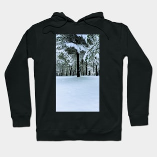 Under the Trees Cont'd Hoodie